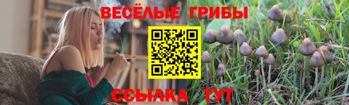 Псилоцибиновые грибы MAGIC MUSHROOMS  Галлюциногенные грибы мухоморы  Сатка  Вход с VPN 